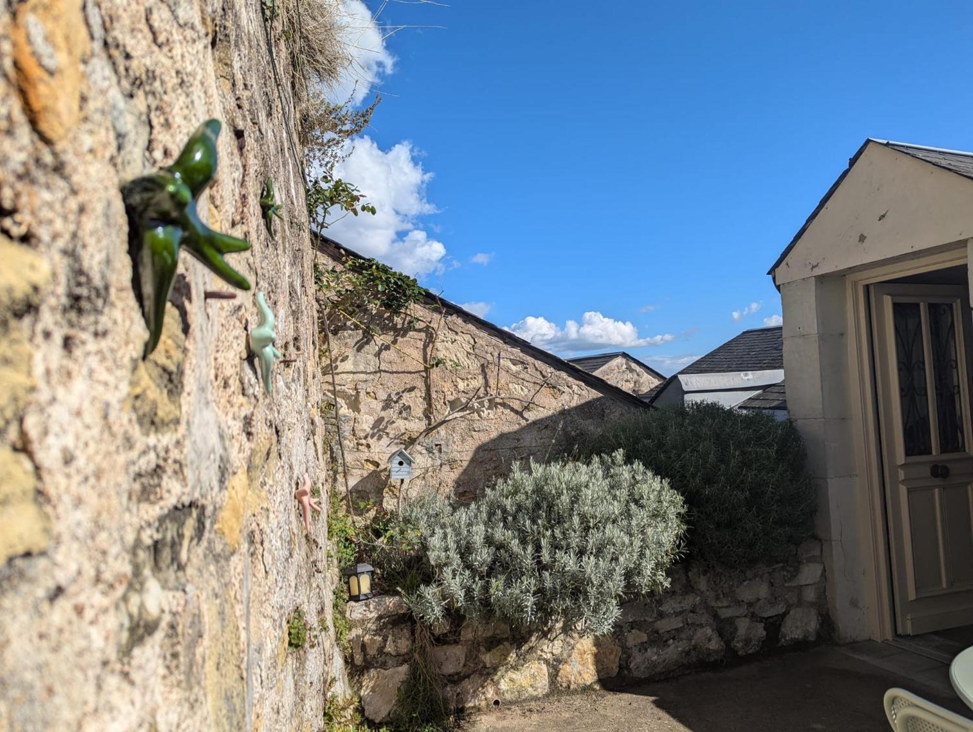 Des Hirondelles , Au Pied Du Chateau * Chinon