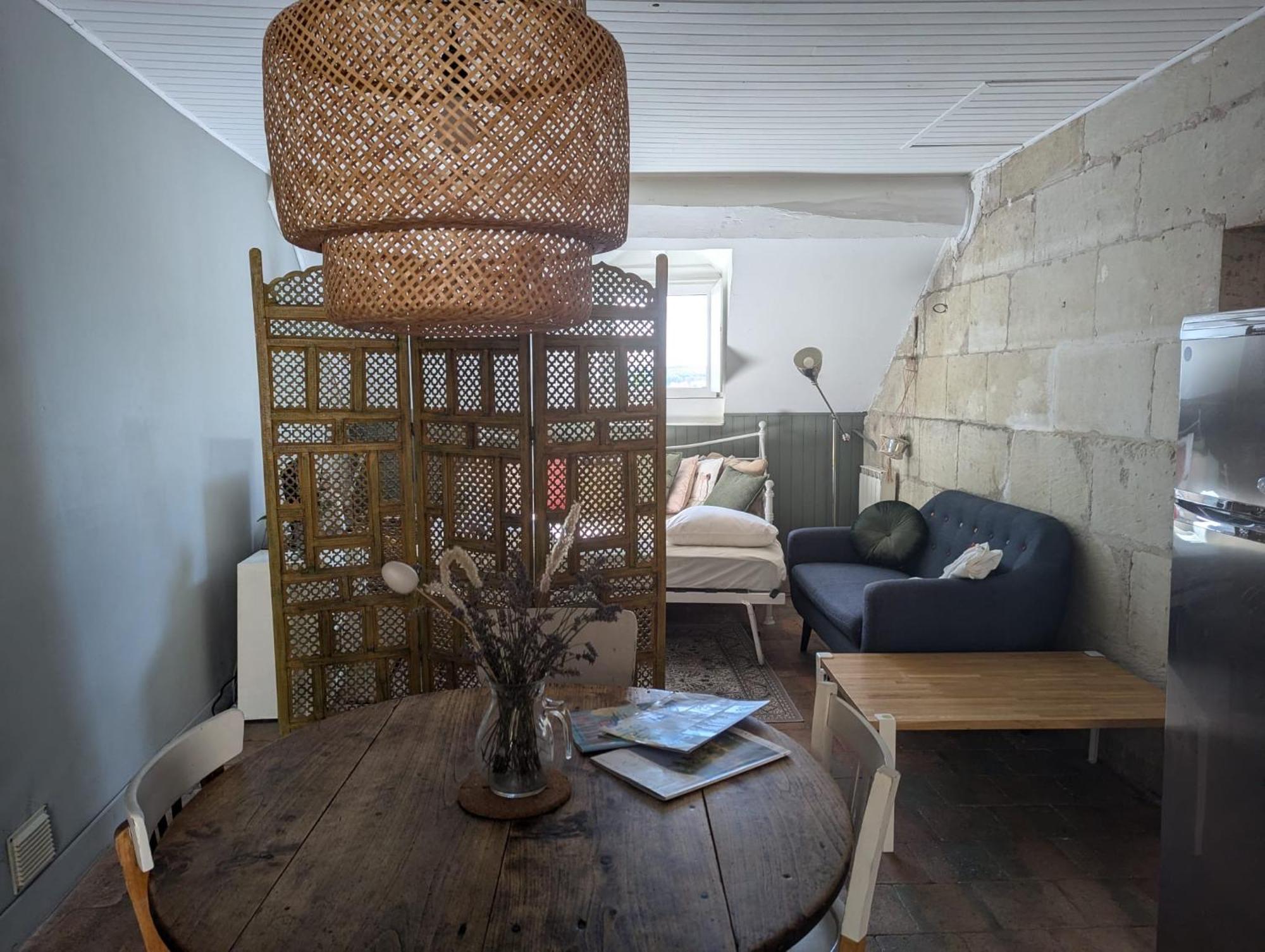 Des Hirondelles , Au Pied Du Chateau Appartement Chinon